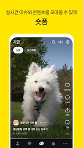 카카오톡 테마