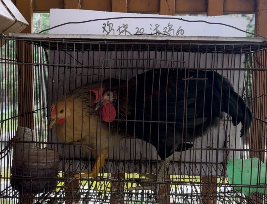 관련 이미지