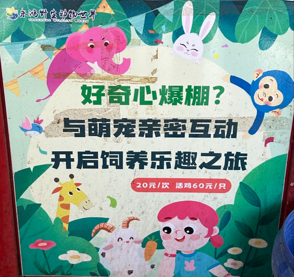 관련 이미지