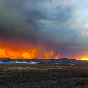 Japanese Telecom Giant Admits CEO's Actions Caused Massive Mongolia Grassland Fire