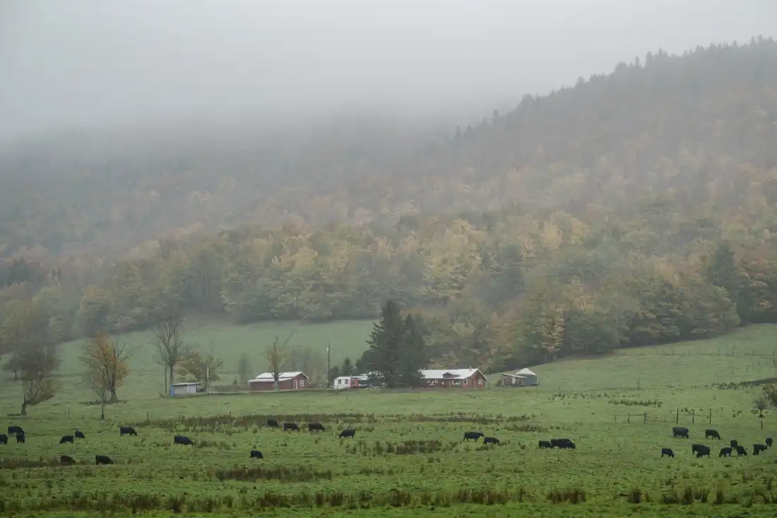 Centres de données : Menace sur la nature et le ciel d'Appalachie