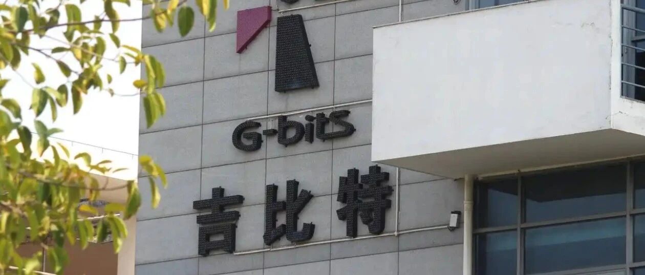 G-bits Dividend